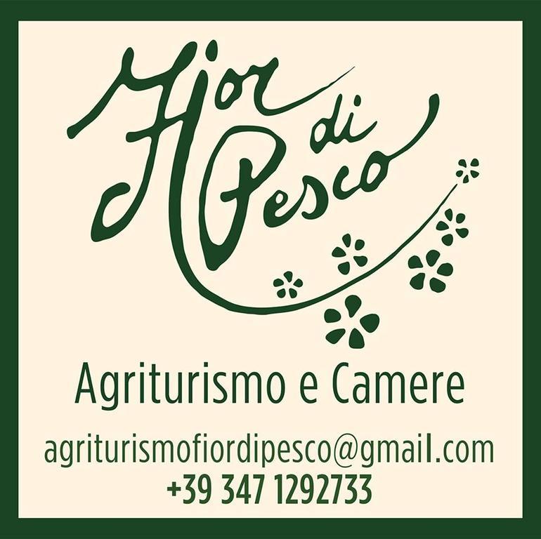Agriturismo Fior Di Pesco Hotel Sommacampagna Eksteriør billede